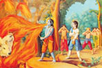 Krsna, the supreme mystic, immediately swallowed up all the flames of the fire.